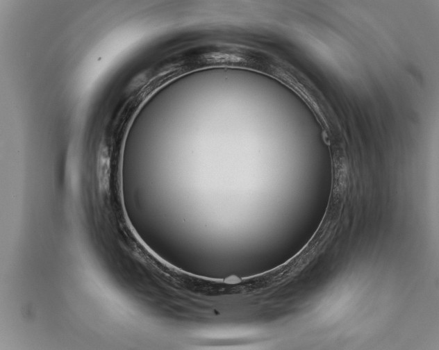 X0000112051151200908111344