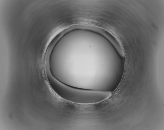 X0000112051152200908111344