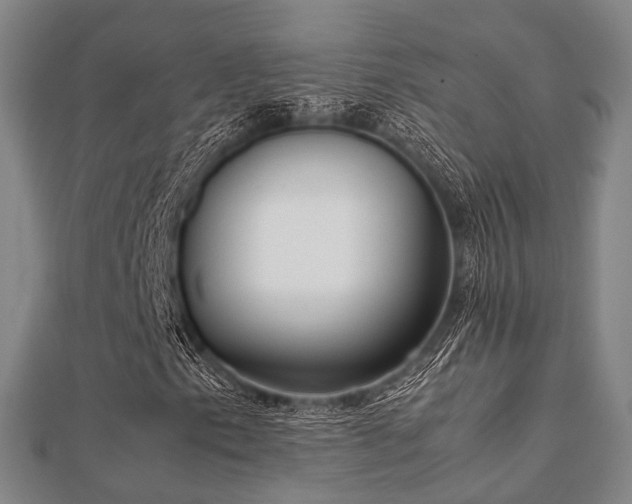 X0000112051153200908111343