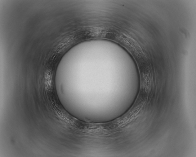 X0000112051154200908111343