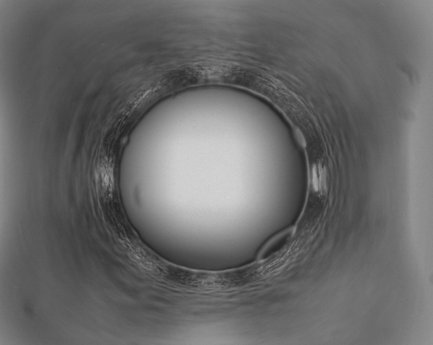 X0000112051155200908111343