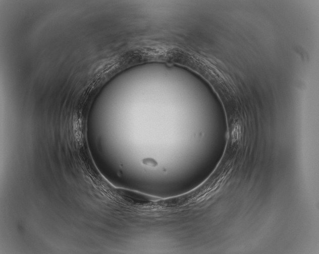 X0000112051156200908111343