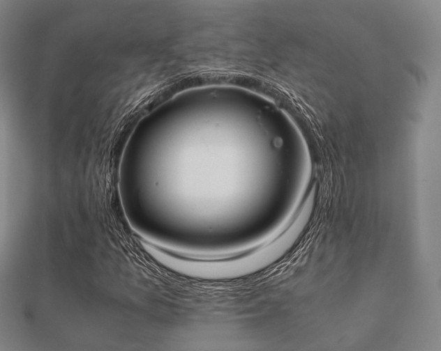 X0000112051157200908111343