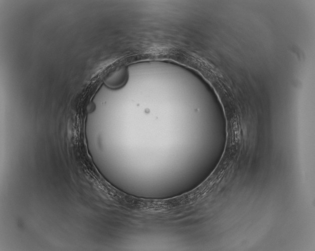 X0000112051158200908111343