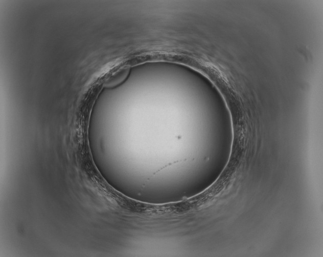 X0000112051159200908111343