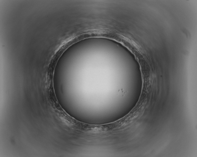 X0000112051160200908111343