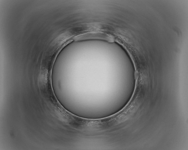 X0000112051161200908111343