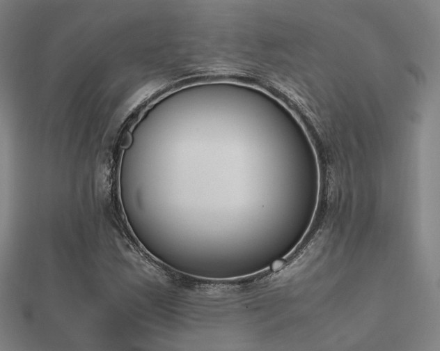 X0000112051163200908111343