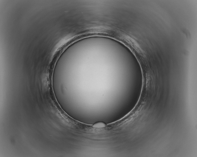 X0000112051164200908111343