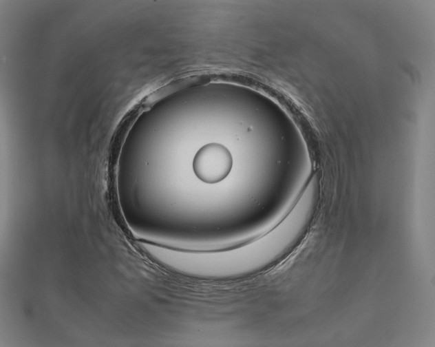 X0000112051165200908111343