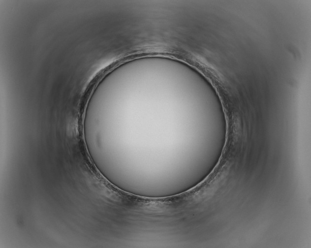 X0000112051166200908111343