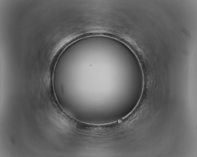 X0000112051167200908111343