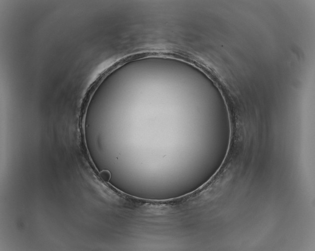 X0000112051168200908111343