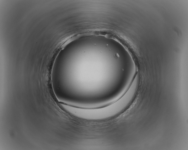 X0000112051169200908111343