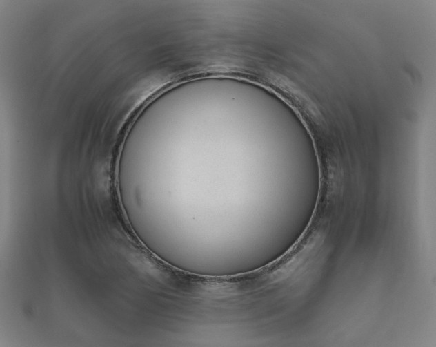 X0000112051170200908111343