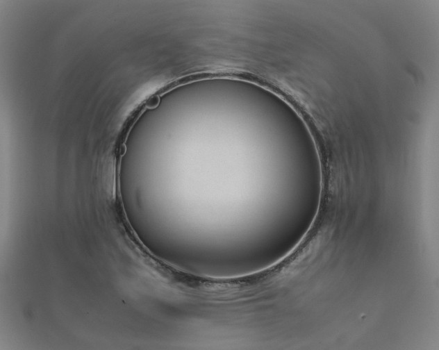 X0000112051171200908111343