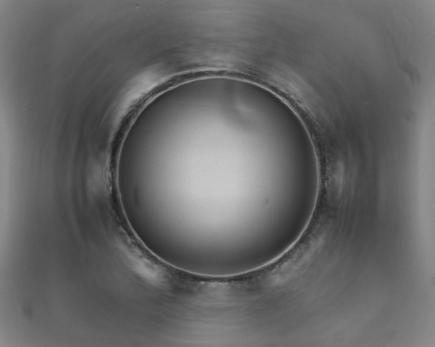 X0000112051172200908111343