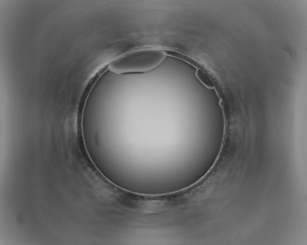 X0000112051173200908111343