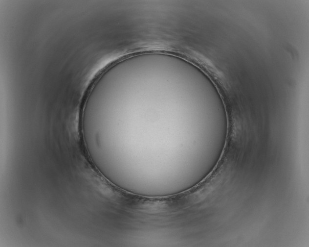 X0000112051174200908111343