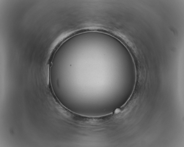 X0000112051175200908111343