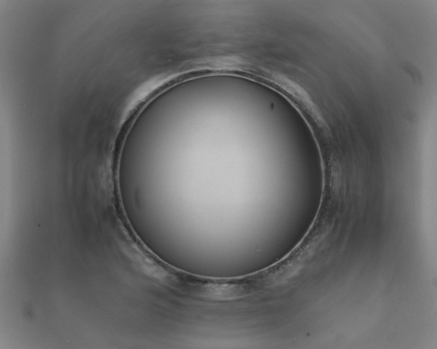 X0000112051176200908111343