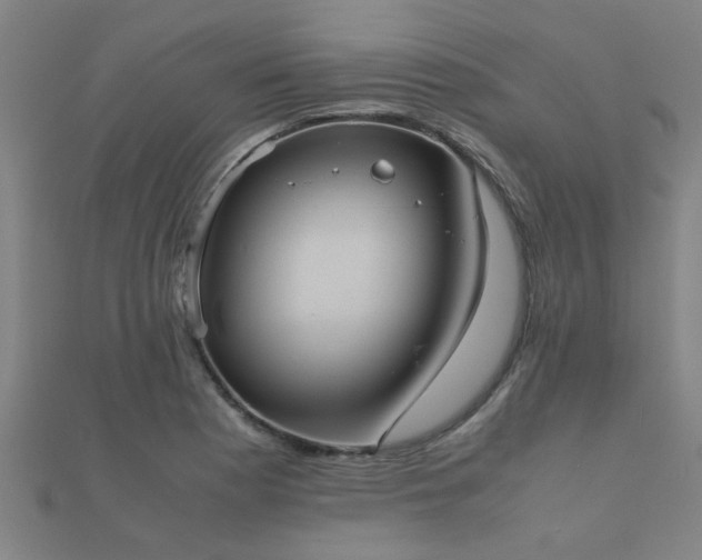 X0000112051177200908111343