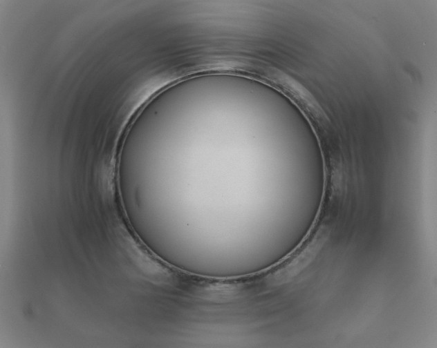 X0000112051178200908111343