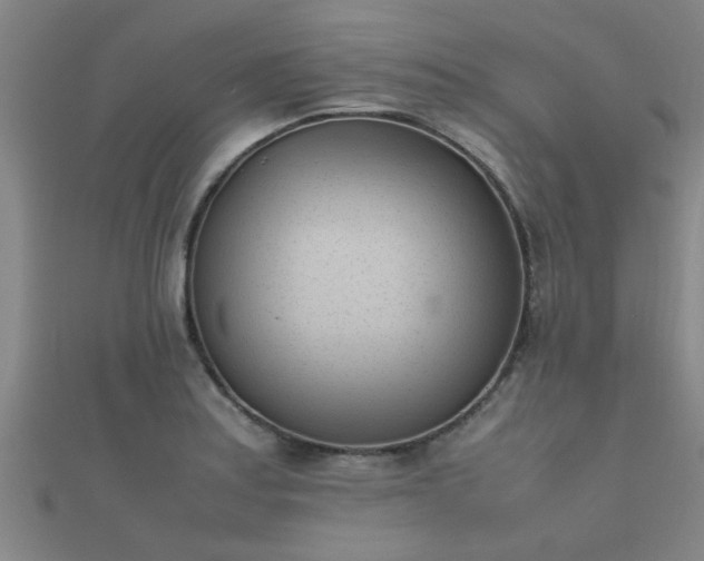 X0000112051179200908111343