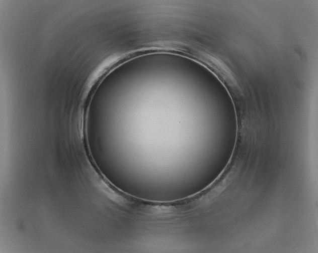 X0000112051180200908111343