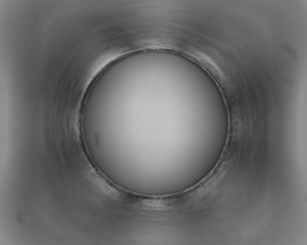 X0000112051182200908111343