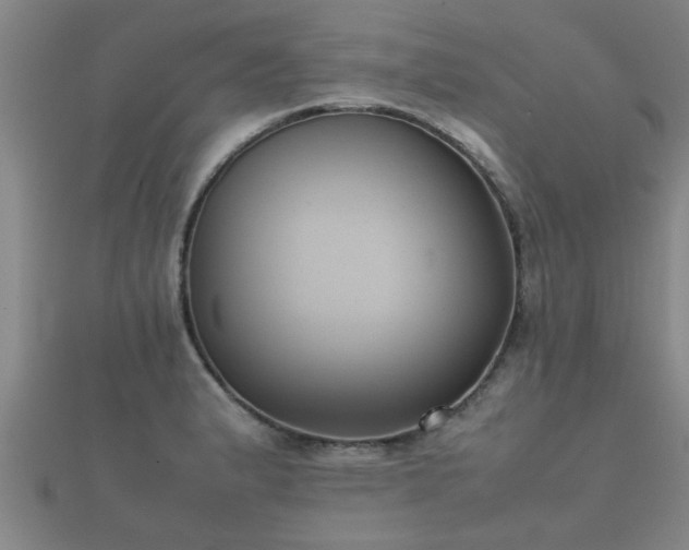 X0000112051183200908111343