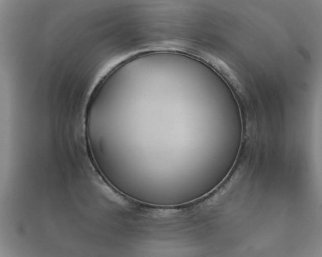 X0000112051184200908111343