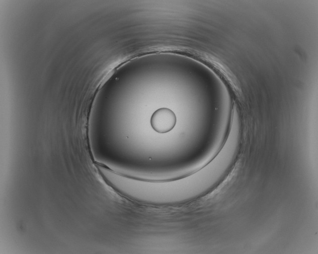 X0000112051185200908111343