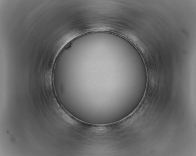 X0000112051186200908111343