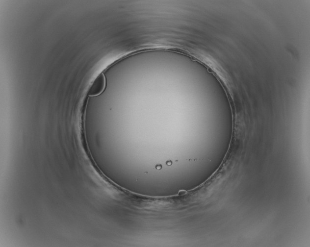 X0000112051187200908111343