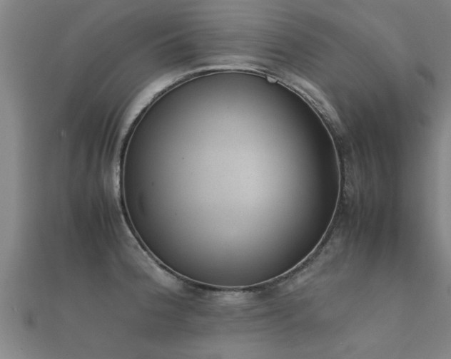 X0000112051188200908111343