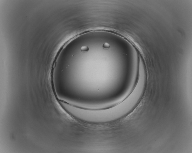 X0000112051189200908111343