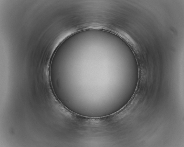 X0000112051190200908111343