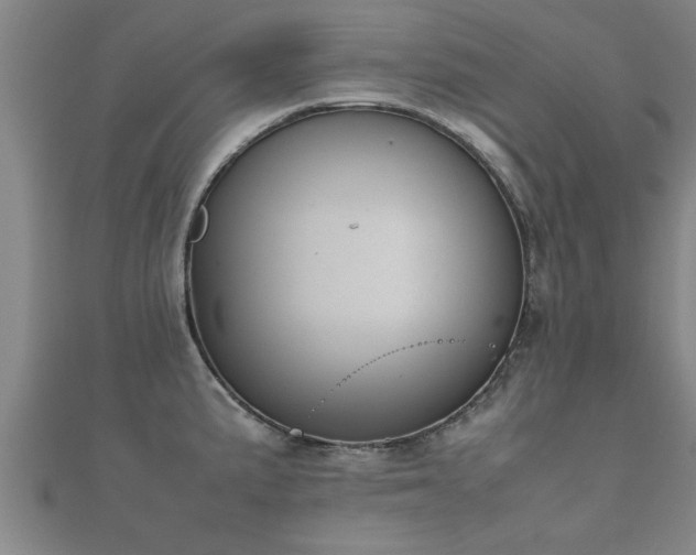 X0000112051191200908111343