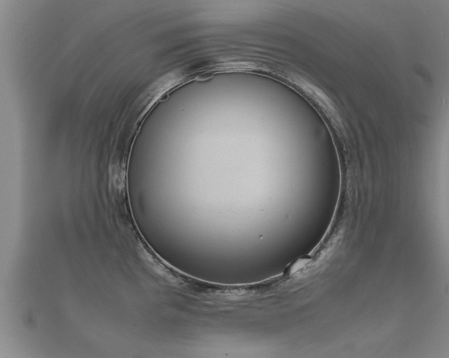 X0000112051193200908111343