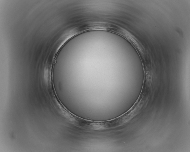 X0000112051194200908111343