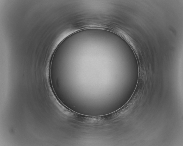 X0000112051195200908111343