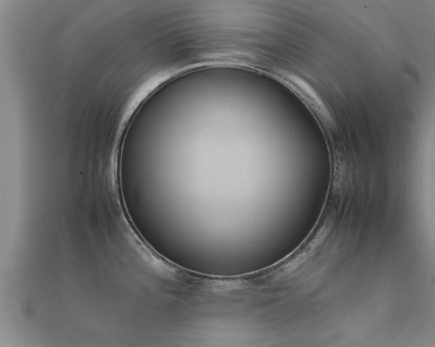 X0000112051196200908111343