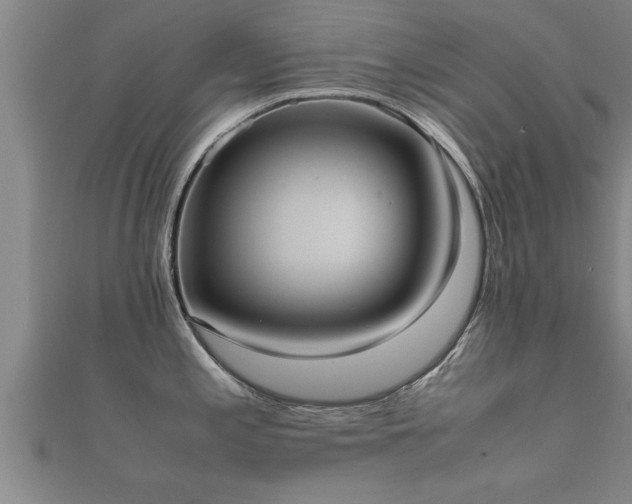 X0000112051197200908111343