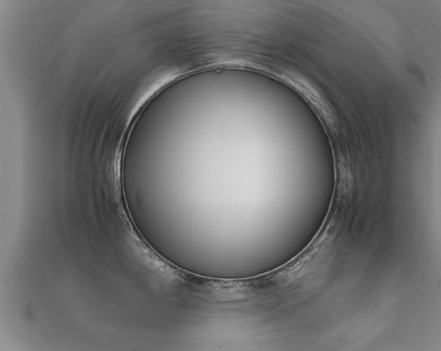 X0000112051198200908111343