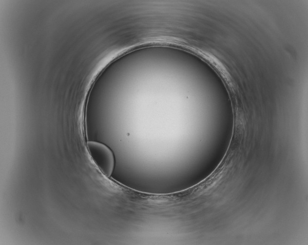 X0000112051199200908111343