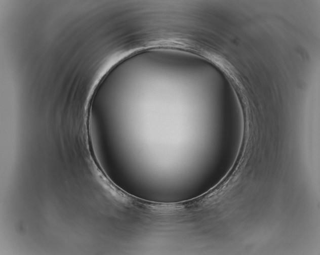 X0000112051200200908111343