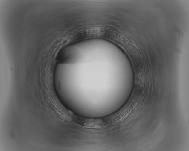 X0000112051201200908111342