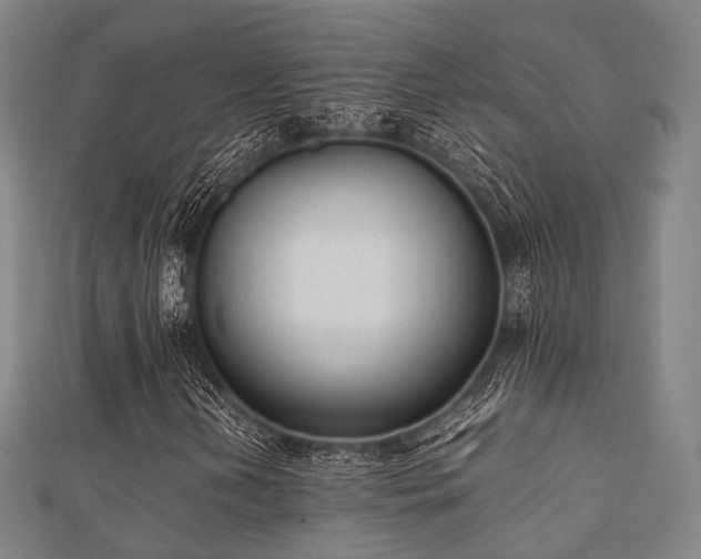 X0000112051202200908111342