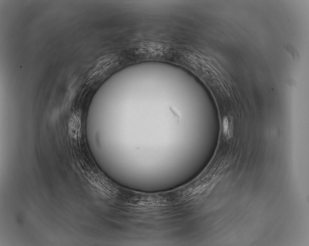 X0000112051203200908111342